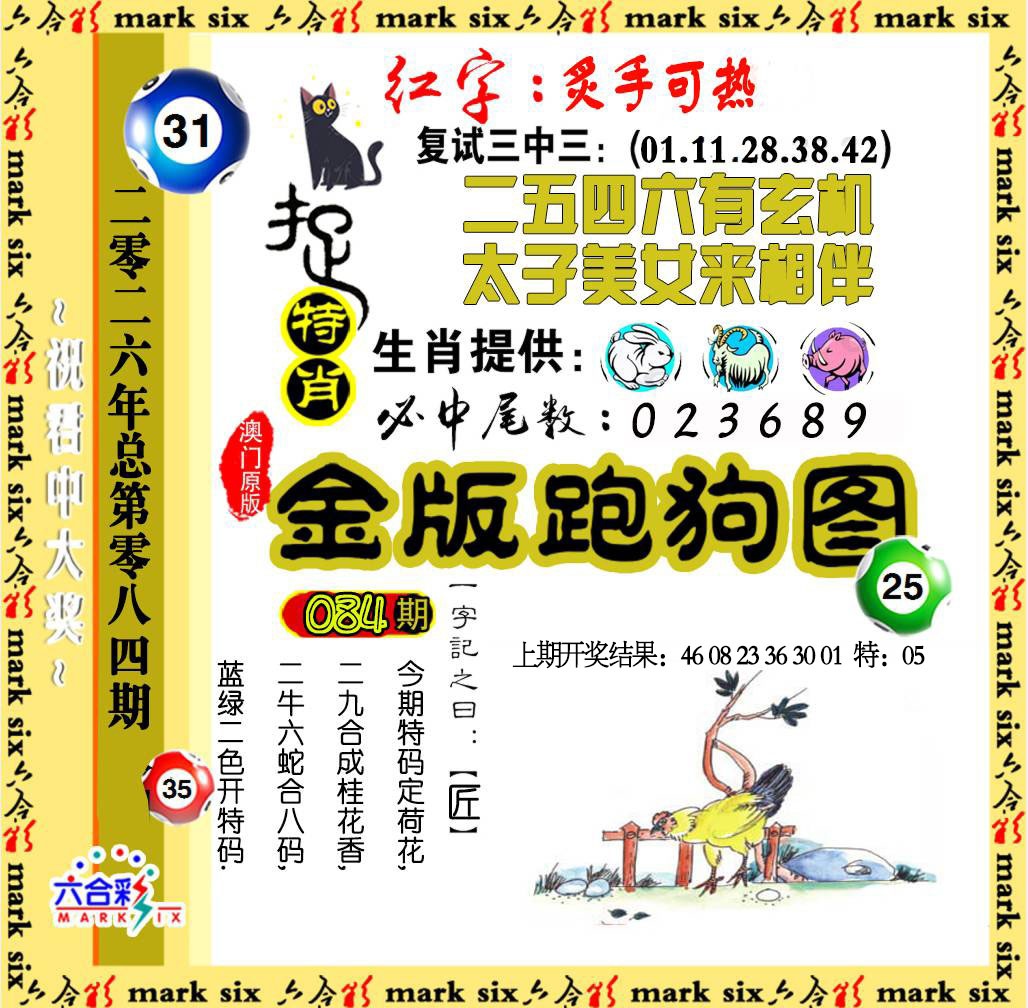 084期金版跑狗图[图]