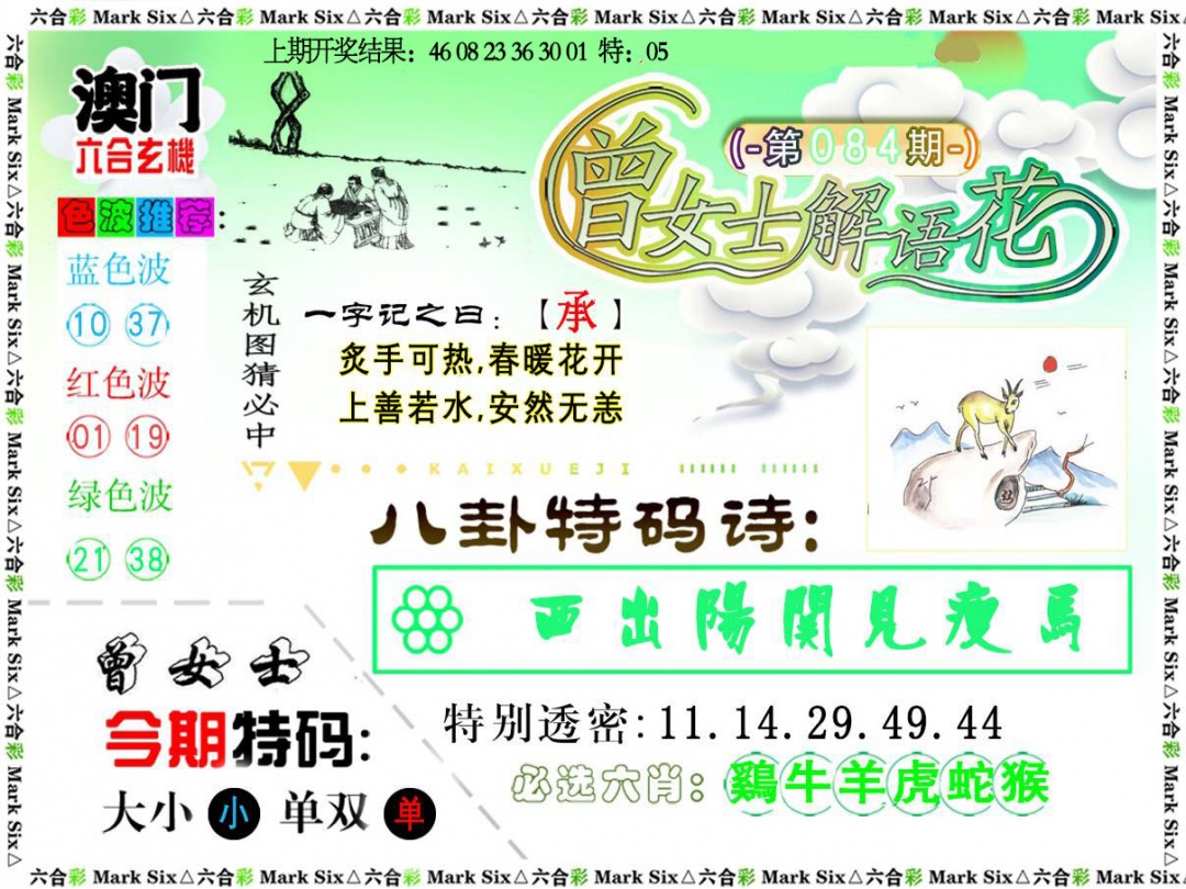 084期曾女士解语花[图]