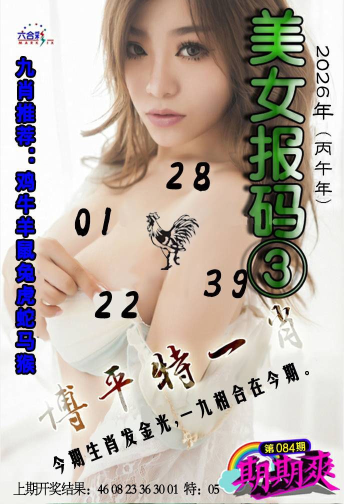 084期美女码报3[图]